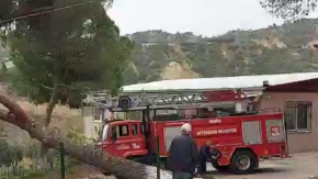 Fırtınada okul binasının üzerine ağaç devrildi